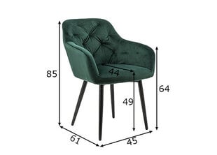 Вращающийся стул, зеленый цена и информация | Стулья для кухни и столовой | pigu.lt