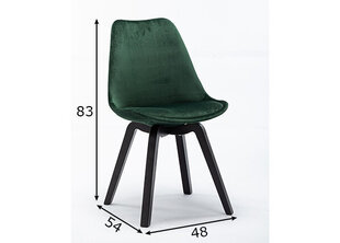 Комплект стульев 2шт., зелёный цена и информация | Стулья для кухни и столовой | pigu.lt