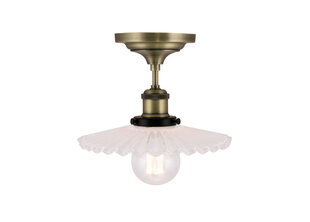 Потолочный светильник Cobbler, белый цена и информация | Настольные светильники | pigu.lt