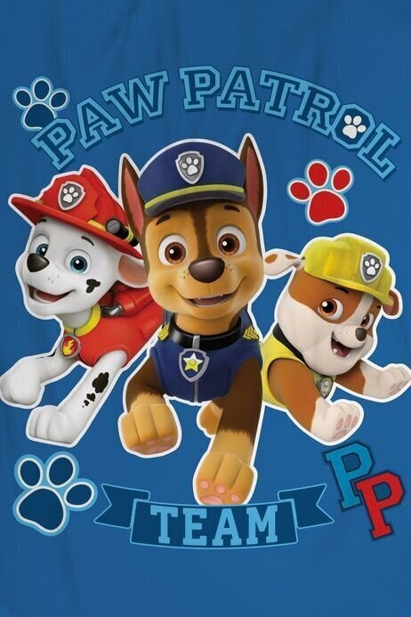 Pledas Paw Patrol 100 x 150 cm kaina ir informacija | Lovatiesės ir pledai | pigu.lt