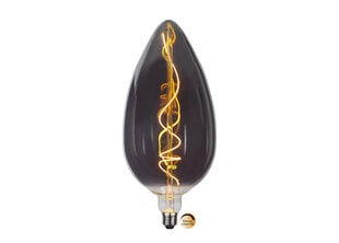 Декоративная светодиодная лампа E27 5,8 Вт цена и информация | Электрические лампы | pigu.lt