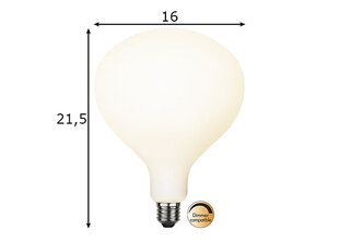 Декоративная светодиодная лампочка с цоколем E27, 5,6 Вт цена и информация | Электрические лампы | pigu.lt