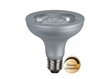 LED lemputė E27, 10 W цена и информация | Elektros lemputės | pigu.lt