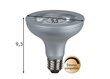 LED lemputė E27, 10 W kaina ir informacija | Elektros lemputės | pigu.lt