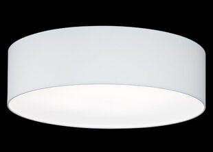 Потолочный светильник Maat, белый, 4x 40 Вт цена и информация | Потолочные светильники | pigu.lt