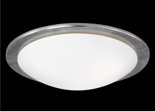 Потолочный светильник Fischer&Honsel Nantes цена и информация | Потолочные светильники | pigu.lt