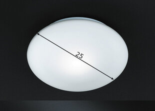 Fischer&Honsel lubinis šviestuvas Pur kaina ir informacija | Lubiniai šviestuvai | pigu.lt