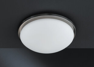 Kombinuotas lubų šviestuvas, matinis nikelio atspalvis, 40 W kaina ir informacija | Lubiniai šviestuvai | pigu.lt