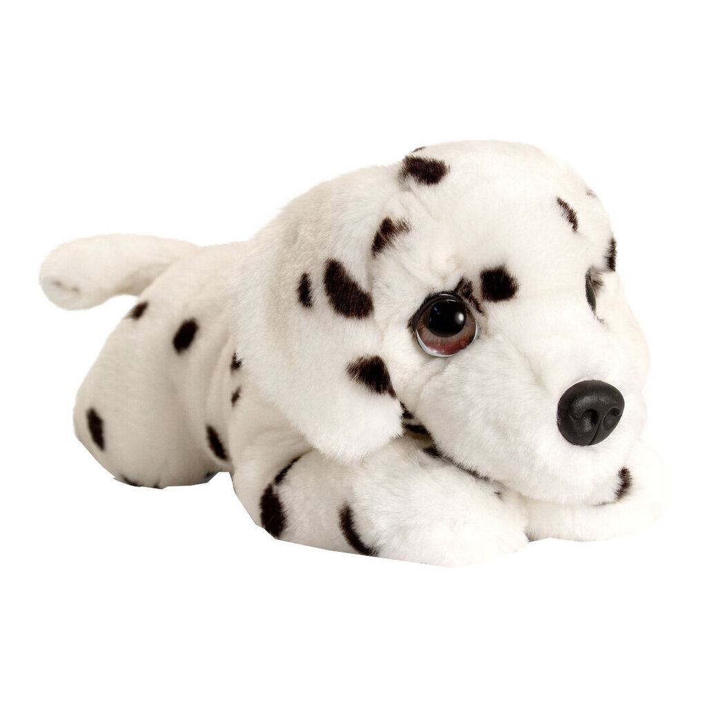 Keel Toys šuniukas dalmantinas, 32 cm. цена и информация | Minkšti (pliušiniai) žaislai | pigu.lt