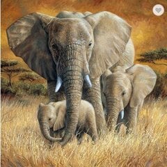 Набор алмазной мозаики "Семья слонов " цена и информация | Алмазная мозаика | pigu.lt