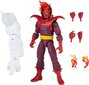 Figūrėlė Marvel Legends Super Villains Dormammu F2797 kaina ir informacija | Žaislai berniukams | pigu.lt