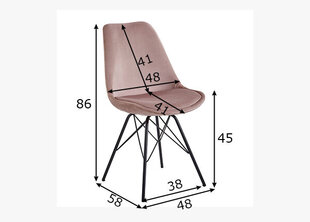 Набор обеденных стульев Skandinavisch, 2шт, розовый цена и информация | Стулья для кухни и столовой | pigu.lt