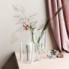 Iittala vaza Aalto 9.5 cm kaina ir informacija | Vazos | pigu.lt