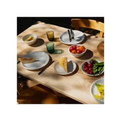 Iittala миска Raami, 29 см цена и информация | Посуда, тарелки, обеденные сервизы | pigu.lt