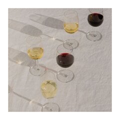 Iittala Raami бокал для игристого вина 24cl 2 шт. цена и информация | Стаканы, фужеры, кувшины | pigu.lt