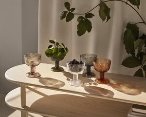 Бокал Iittala Iittala 145 мм, глянцевый цена и информация | Посуда, тарелки, обеденные сервизы | pigu.lt