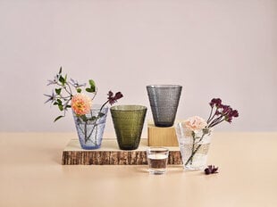 Iittala vaza Kastehelmi 15.4 cm kaina ir informacija | Vazos | pigu.lt