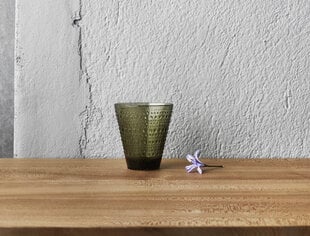 Iittala vaza Kastehelmi 15.4 cm kaina ir informacija | Vazos | pigu.lt