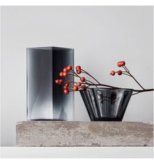 Iittala dubuo Aalto, 7.5 cm kaina ir informacija | Indai, lėkštės, pietų servizai | pigu.lt