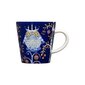 Iittala ekspresso puodelis Taika, 100 ml kaina ir informacija | Taurės, puodeliai, ąsočiai | pigu.lt