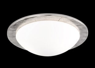 Потолочный светильник Fischer&Honsel Nantes цена и информация | Потолочные светильники | pigu.lt