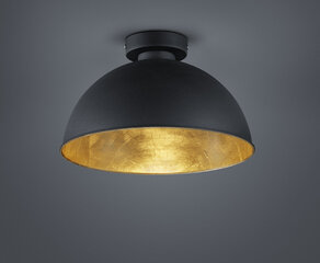 Потолочный светильник Jimmy 1хЕ27, черный/золотистый 920012406 цена и информация | Потолочные светильники | pigu.lt