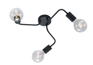 Потолочный светильник Diallo 3хЕ27, матовый черный 920012426 цена и информация | Потолочные светильники | pigu.lt