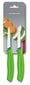 Valymo peiliai Victorinox Swiss Classic 2 vnt., žali kaina ir informacija | Peiliai ir jų priedai | pigu.lt