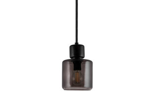 Подвесной светильник Globen Lighting Dot цена и информация | Люстры | pigu.lt