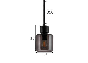 Globen Lighting pakabinamas šviestuvas Dot kaina ir informacija | Pakabinami šviestuvai | pigu.lt