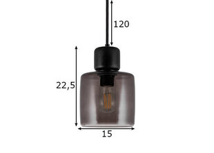 Подвесной светильник Globen Lighting Dot цена и информация | Люстры | pigu.lt
