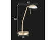 Stalo šviestuvas Pool TW LED, žalvario tonas, 5 W/530 lm kaina ir informacija | Staliniai šviestuvai | pigu.lt