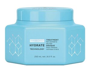 Drėkinamoji plaukų kaukė Schwarzkopf Professional Bonacure Fibre Clinix Hydrate 250 ml kaina ir informacija | Priemonės plaukų stiprinimui | pigu.lt