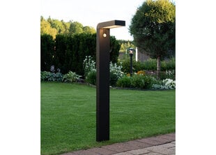 Садовый светильник с солнечной панелью Vici цена и информация | Уличные светильники | pigu.lt