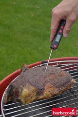 Kulinarinis termometras Barbecook kaina ir informacija | Grilio, šašlykinių priedai ir aksesuarai  | pigu.lt