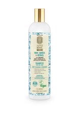 Šampūnas riebiems plaukams Natura Siberica, 400 ml kaina ir informacija | Natura Siberica Kvepalai, kosmetika | pigu.lt