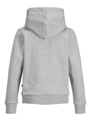 Детская толстовка JACK & JONES JUNIOR 12152841*01, светло-серая 5715100714164 цена и информация | Свитеры, жилетки, пиджаки для мальчиков | pigu.lt