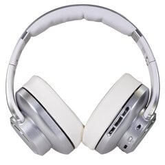 EVOLVEO Supreme Sound 8EQ 2in1, Bluetooth наушники  со встроенным динамиком и эквалайзером. Серебряный цвет цена и информация | Теплая повязка на уши, черная | pigu.lt