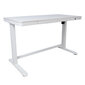 Reguliuojamo aukščio elektrinis stalas Home4You Ergo, 120x60 cm, baltas kaina ir informacija | Kompiuteriniai, rašomieji stalai | pigu.lt