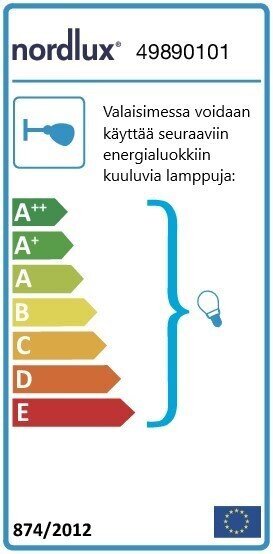 Nordlux lubinis šviestuvas Agnes kaina ir informacija | Lubiniai šviestuvai | pigu.lt