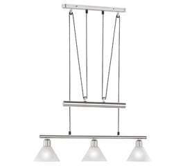 Trio подвесной светильник Stamina цена и информация | Подвесной светильник | pigu.lt