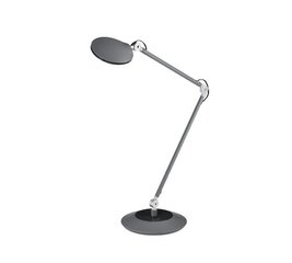 Настольная светодиодная лампа Roderic, черная цена и информация | Настольные светильники | pigu.lt