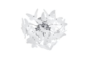 Trio lubinis šviestuvas Butterfly kaina ir informacija | Lubiniai šviestuvai | pigu.lt