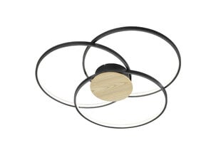 Потолочный светильник Trio Sedona цена и информация | Потолочные светильники | pigu.lt