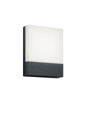 LED sieninis šviestuvas Trio Pecos kaina ir informacija | Lauko šviestuvai | pigu.lt