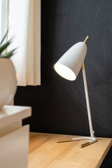 Настольный светильник Aiden, белый цена и информация | Настольные светильники | pigu.lt