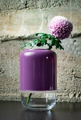 Muurla reguliuojamo aukščio vaza Capsule 18-28 cm kaina ir informacija | Vazos | pigu.lt