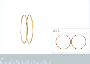 Серьги с золотым покрытием 750°, 50 мм, произведено во Франции цена и информация | Серьги | pigu.lt