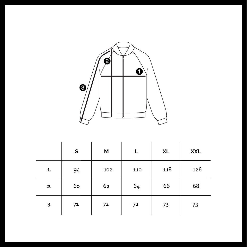 Aksominis džemperis su užtrauktuku moterims SNP31001, pilkas kaina ir informacija | Džemperiai moterims | pigu.lt