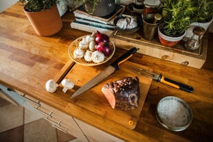 Fiskars вилка для мяса Functional Form цена и информация | Fiskars Кухонные товары, товары для домашнего хозяйства | pigu.lt